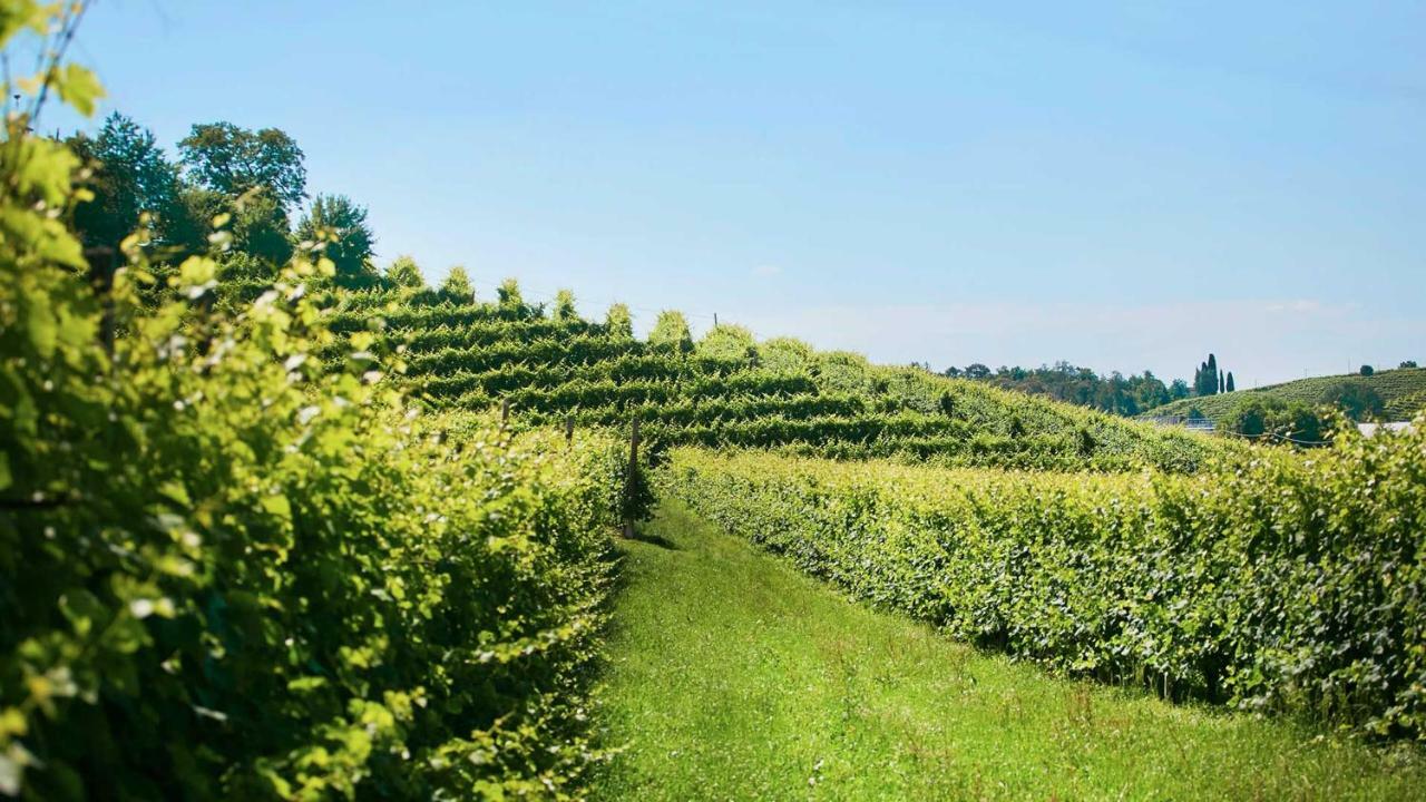 Agriturismo Roccat Valdobbiadene Eksteriør billede